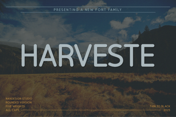 Harveste Rounded: A Modern Sans Serif for Bold Branding