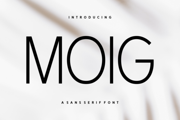Moig: A Modern Sans Serif for Sleek Branding